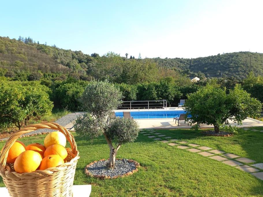 Casa Citrus Limao - Between The Hills & The Ocean Silves Exterior photo
