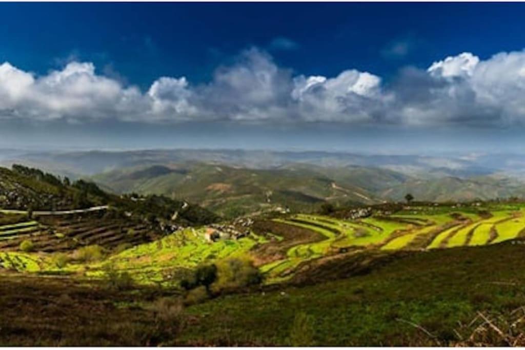 Casa Citrus Limao - Between The Hills & The Ocean Silves Exterior photo